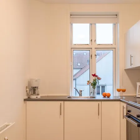 Bright And Spacious In Downtown Aarhus